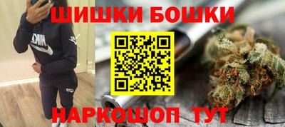 хмурый Камень-на-Оби