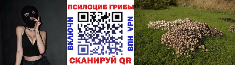 купить наркоту  KRAKEN ссылка  Галлюциногенные грибы GOLDEN TEACHER  Заинск 