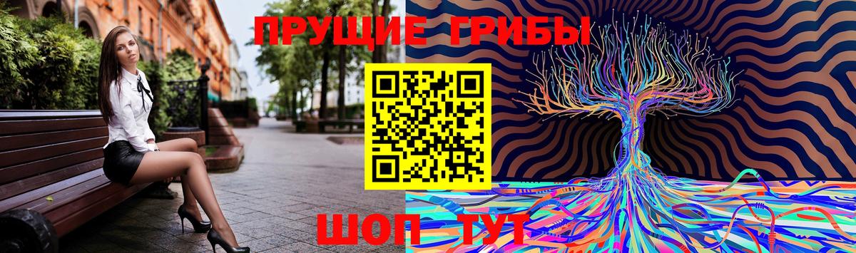 Псилоцибиновые грибы ЛСД Заинск